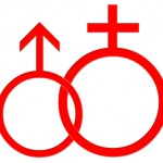 the-sexes