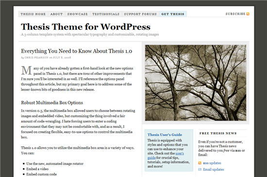 wordpress_thesis_theme_1